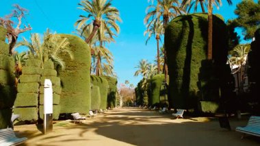 Cadiz, Andalucia, İspanya 'daki Parque Genoves, egzotik bitkiler, manzaralı yollar ve büyüleyici su özellikleri olan verimli, botanik cenneti.