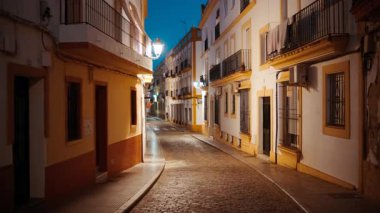 AYAMONTE, Huelva, İspanya, 20 ECTOBER 2023 - Ayamonte, Huelva, Endülüs, İspanya 'daki Eski Mahalle Gece Görüşü, büyüleyici caddeler tarihi sokak lambalarının sıcacık ışığında yıkandı