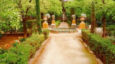 SEVILLE, circa 2023 - Palacio de las Duenas, Seville, Endülüs, İspanya, tarihi asil konut, çarpıcı mimari, avlu ve yemyeşil bahçeler