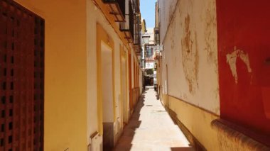 SEVILLE, circa 2023 - Santa Cruz bölgesi, Seville, Endülüs, İspanya, büyüleyici labirent benzeri bölge, dar sokaklar, portakal ağaçları ve geleneksel Endülüs evleri