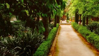 SEVILLE, circa 2023 - Palacio de las Duenas, Seville, Endülüs, İspanya, tarihi asil konut, çarpıcı mimari, avlu ve yemyeşil bahçeler