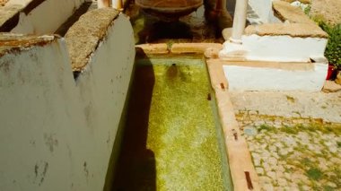 Castelo de Vide, Alentejo, Portekiz 'in beyazlatılmış caddeleri, tarihte sırılsıklam olmuş ve sükunetle boyanmış tuhaf bir cazibe örgüsü.