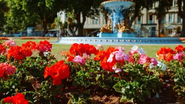 TORQUAY, takriben 2022 - İngiltere 'nin en popüler tatil beldelerinden Devon' da, deniz kıyısındaki Torquay tatil beldesinin manzarası