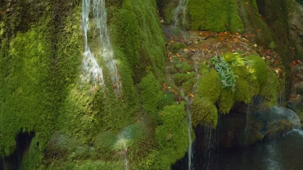 Tournage latéral au ralenti de la cascade unique Bigar en Roumanie 
