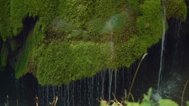 Captura de cámara lenta frontal de la cascada Bigar única en Rumania — Vídeos de Stock