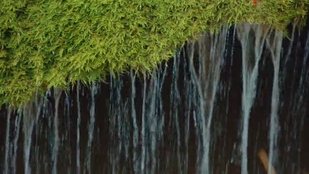 Ultra-Nahaufnahme des einzigartigen bigaren Wasserfalls in Rumänien — Stockvideo