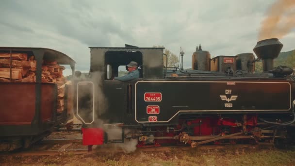 Tren de carga de vapor industrial en una pequeña aldea rural - Vista lateral — Vídeos de Stock