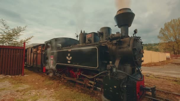 Tren de carga de vapor industrial en una pequeña aldea rural - Vista panorámica — Vídeo de stock