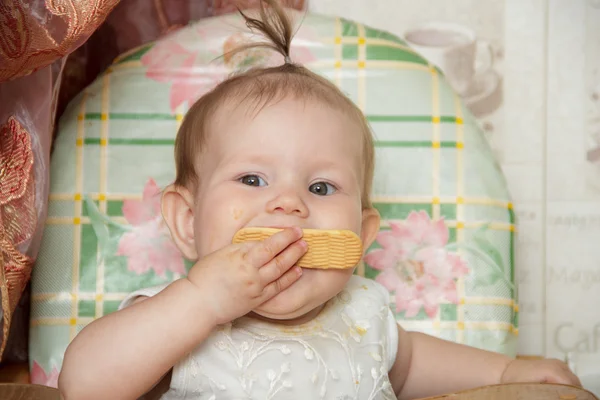 女の子子供ハイチェアに座っているし、クッキーを食べる — ストック写真