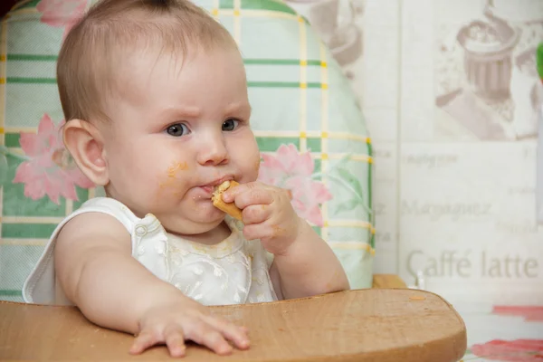 Маленькая девочка сидит в детском кресле и ест печенье Лицензионные Стоковые Изображения