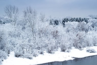 Güzel kış manzarası