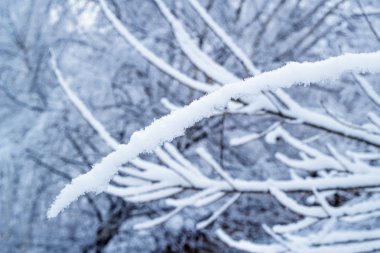 Güzel kış manzarası