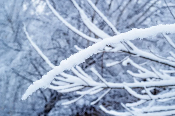 Güzel kış manzarası
