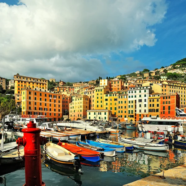 Námořní přístav v Camogli s modrou oblohou — Stock fotografie