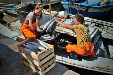 Camogli, Liguria, İtalya - 15 Haziran 2015: Fishermans yakalamak ile