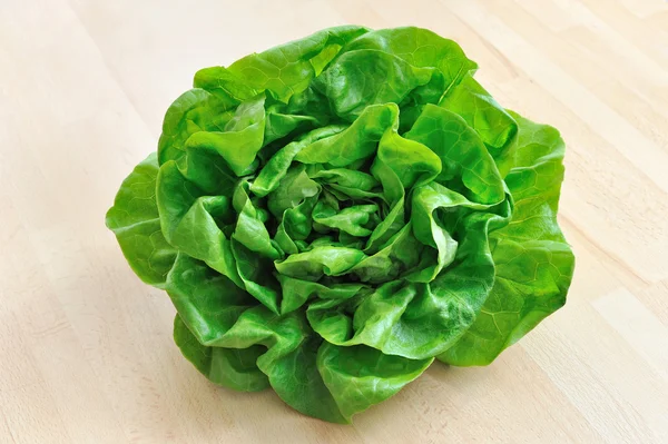 Head of fresh crispy leafy green — Stock Photo, Image