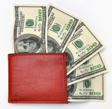 Beyaz arka plan üzerinde bize dolar ile cüzdan
