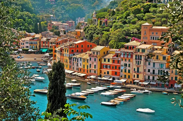 Portofino with boats and yacht in little bay harbor. Liguria, Italy — Stock Photo, Image