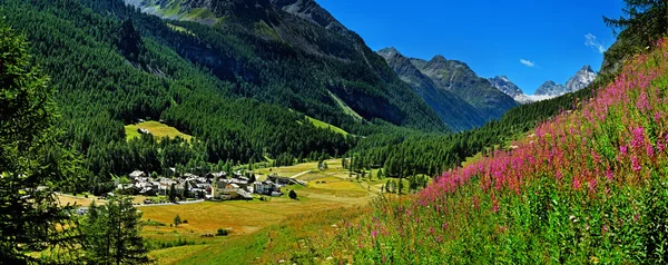 Panoramic view on Rhemes Notre Dame with willow herb — Stock Photo, Image