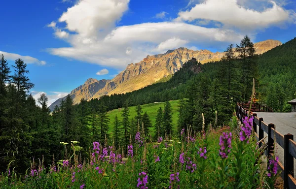 Βουνά της Val di Rhmes, Valle daosta, Ιταλία, Ευρώπη — Φωτογραφία Αρχείου