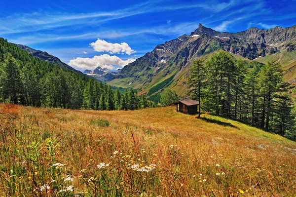 Meadow with panoramic view on Alpien mountains — Stock Photo, Image