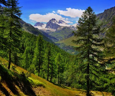 Alpien dağ manzaralı Parey Granta Aosta Vadisi üzerinde