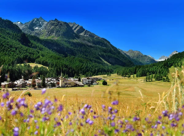 View on alpine mountain village Rhemes Notre Dame from hayfield — Stock Photo, Image