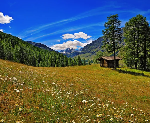 Meadow with old alpien house iwith view on Granta Parey — Stock Photo, Image