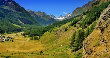Big panorama of Alps valley in Val di Rhemes clipart