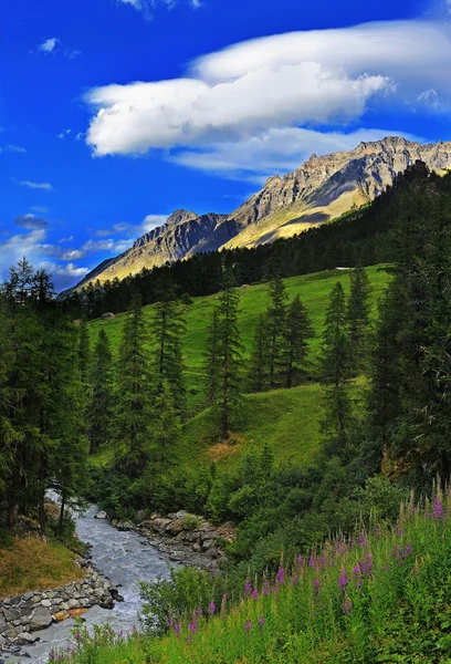 Alpien dağlar Gran Paradiso Milli Parkı'nda