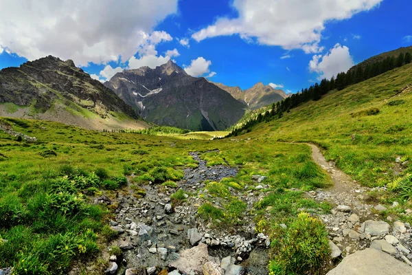 Torrenti di montagna con rocce nelle montagne alpiene Valle dAosta — Foto Stock