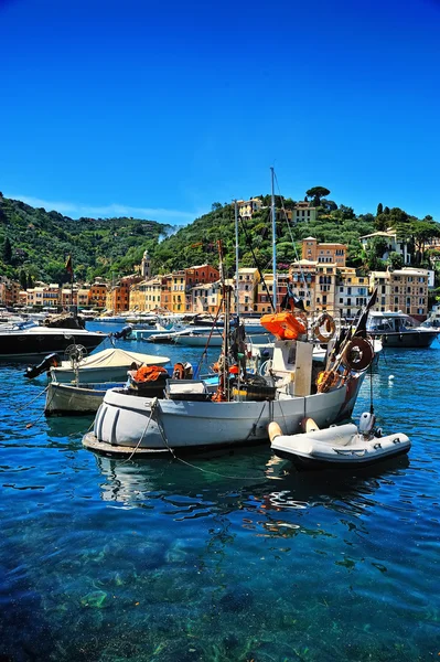 Barche nel porto di Portofino paese sulla costa ligure, Italia — Foto Stock