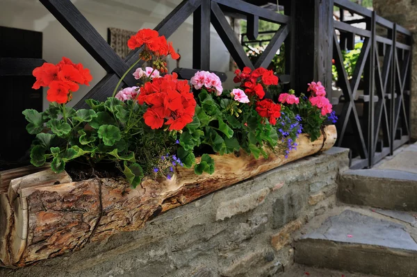 Flowerbed with color geranium on alpine house facade — Stock Photo, Image