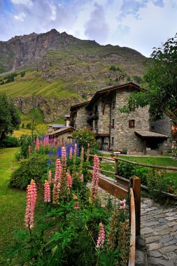 çiçeklerle alps mimari Rhemes Notre Dame, Valle Aosta, İtalya