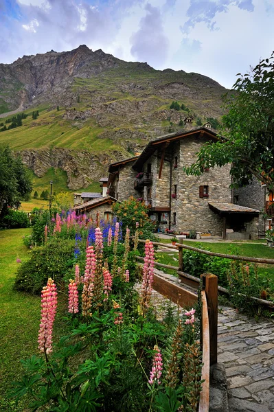 Flores com arquitetura de alpes em Rhemes Notre Dame, Valle Aosta, Itália — Fotografia de Stock