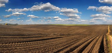 panorama of a plowed field prepared for sowing and a line of rows, beautiful blue sky with clouds clipart