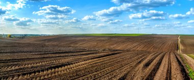 streams of plowed field prepared for sowing and line rows, beautiful blue sky with clouds clipart