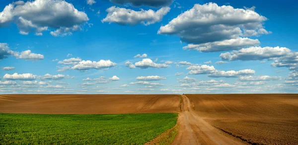春には耕地近くの未舗装道路のある緑の麦畑雲が立ち並ぶ美しい青い空 — ストック写真