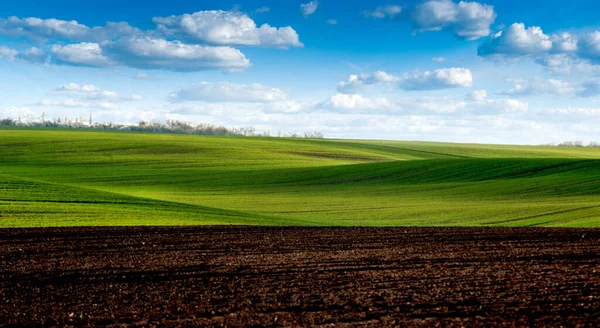 Lente Golf Heuvels Landschap Met Wintergewassen Bewolkte Lucht — Stockfoto