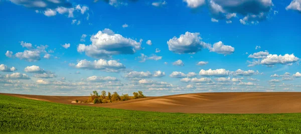 Green field, hills of plowed field for sowing and beautiful blue sky with clouds — Stock Image Green Field Hills Plowed Field Sowing Beautiful Blue Sky Clouds Stock Picture