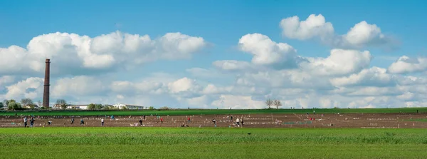 Gårdar Och Trädgårdar Våren Markodling Plantering — Stockfoto