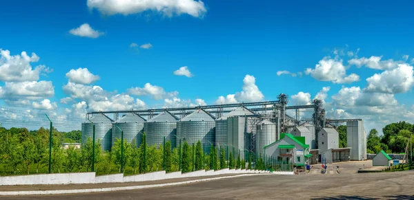 储存小麦和其他谷物的一组粮仓的全景视图 一排粮仓和多云的天空 — 图库照片