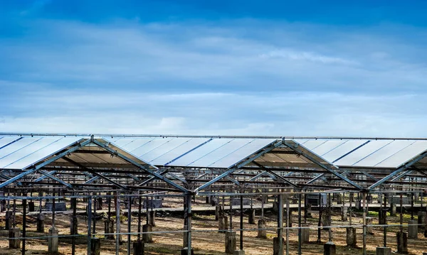 constructions of old greenhouses with solar panels, green energy