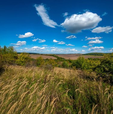 Ufuktaki kuru otların, tarlaların ve ormanın geniş açılı görüntüsü mavi gökyüzünün altında bulutlu.