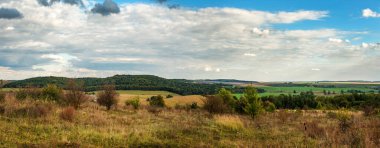 Mavi gökyüzünün altında sonbaharın panoramik manzarası kuru çimenler, ağaçlar, tarlalar ve ormanlar