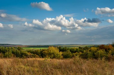 Sonbahar renklerinden oluşan manzara ufuktaki çimenler, ağaçlar, tarlalar ve ormanlar bulutlu mavi bir gökyüzünün altında.