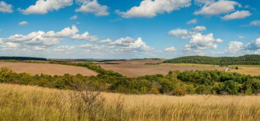 Wide panoramic view of dry grasses, fields and forest at horizon under a blue sky with clouds