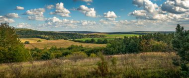 Panorama of autumn colors of dry grass, pine trees, fields and forests on the horizon under a blue sky with clouds