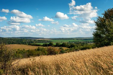 Panorama from autumn dry grasses, tree, fields and forest at horizon under a blue sky with clouds