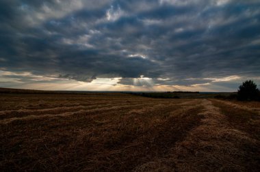 dark storm sky with clouds at sunset over the field with stubble after harvest